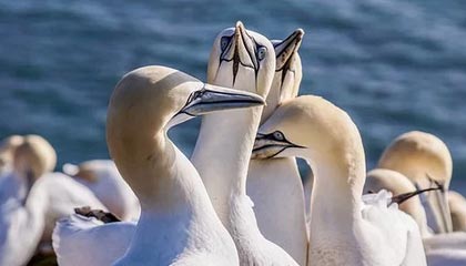 国产学生美女无遮拦高潮视频,揭秘国产学生美女无遮拦高潮视频的隐秘世界