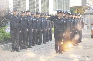 国产警察训练视频大全,实战技能与意志磨砺全解析