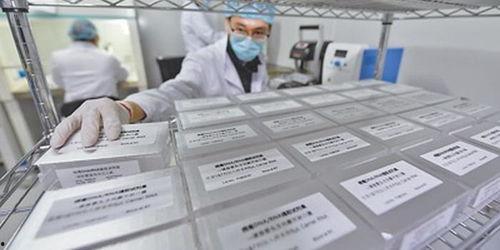 国产试剂盒出口视频,助力抗疫国际合作
