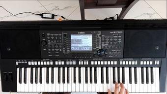 国产电子琴演奏教程视频,入门到精通的演奏攻略