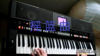 国产电子琴视频下载,视频下载带你领略音乐新境界