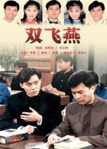 在线观看国产双飞视频,国产双飞视频背后的隐秘世界