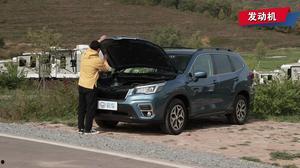 森林人视频动漫国产