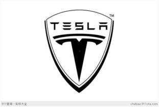 国产特斯拉车标视频大全